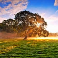 Hoàng Gia Hưng avatar