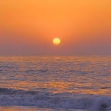 Hoàng Thị Nở avatar